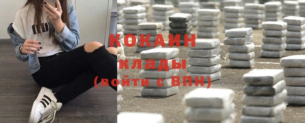 ПСИЛОЦИБИНОВЫЕ ГРИБЫ Арсеньев