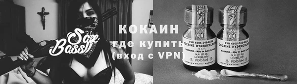 ПСИЛОЦИБИНОВЫЕ ГРИБЫ Арсеньев