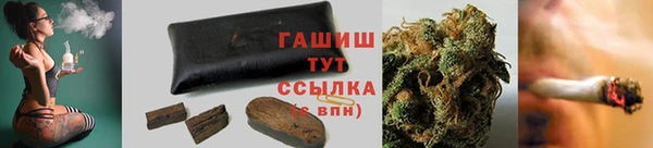 ПСИЛОЦИБИНОВЫЕ ГРИБЫ Арсеньев