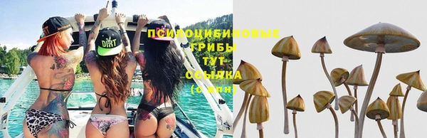 ПСИЛОЦИБИНОВЫЕ ГРИБЫ Арсеньев