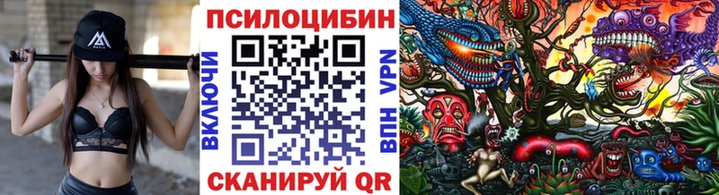 Псилоцибиновые грибы Psilocybine cubensis  Стародуб 